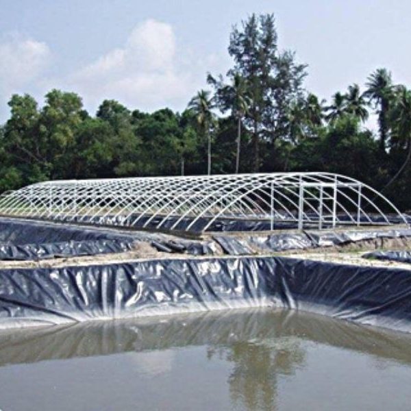 Bạt lót hồ hdpe