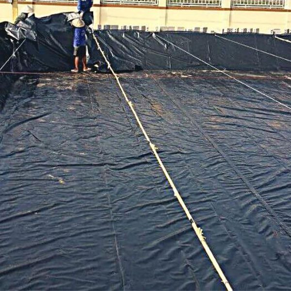 Bạt lót hồ hdpe