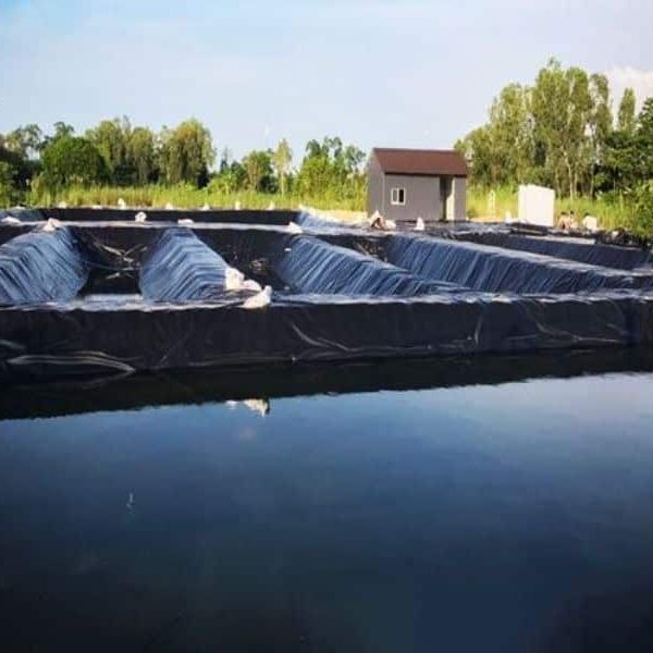 Bạt lót hồ hdpe